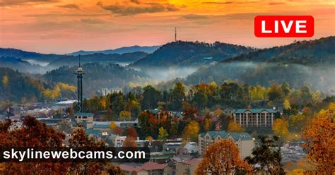 gatlinburg webcam live|Live Webcam